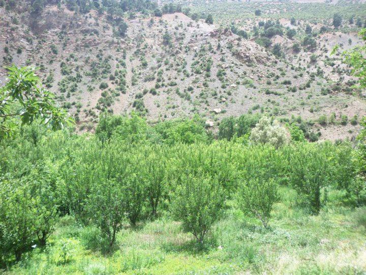 Imdoukal Ait Tamlil